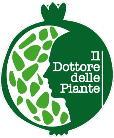 Logo Header - Il Dottore Delle Piante - Esperto agronomo nella cura e gestione del verde
