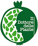 Il Dottore delle Piante